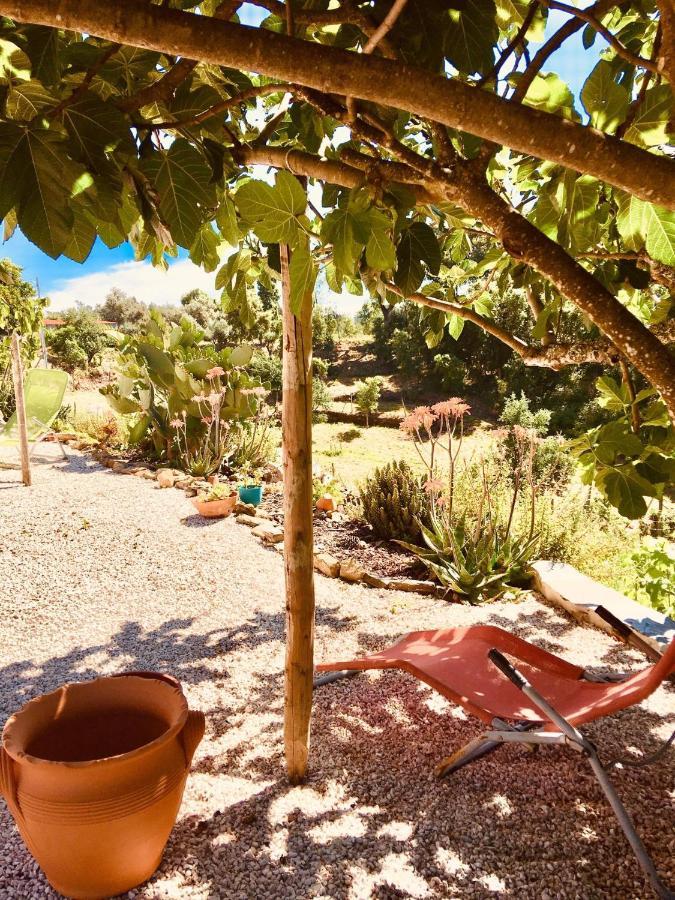 Quinta Quatro Ventos Bed & Breakfast Serta Luaran gambar