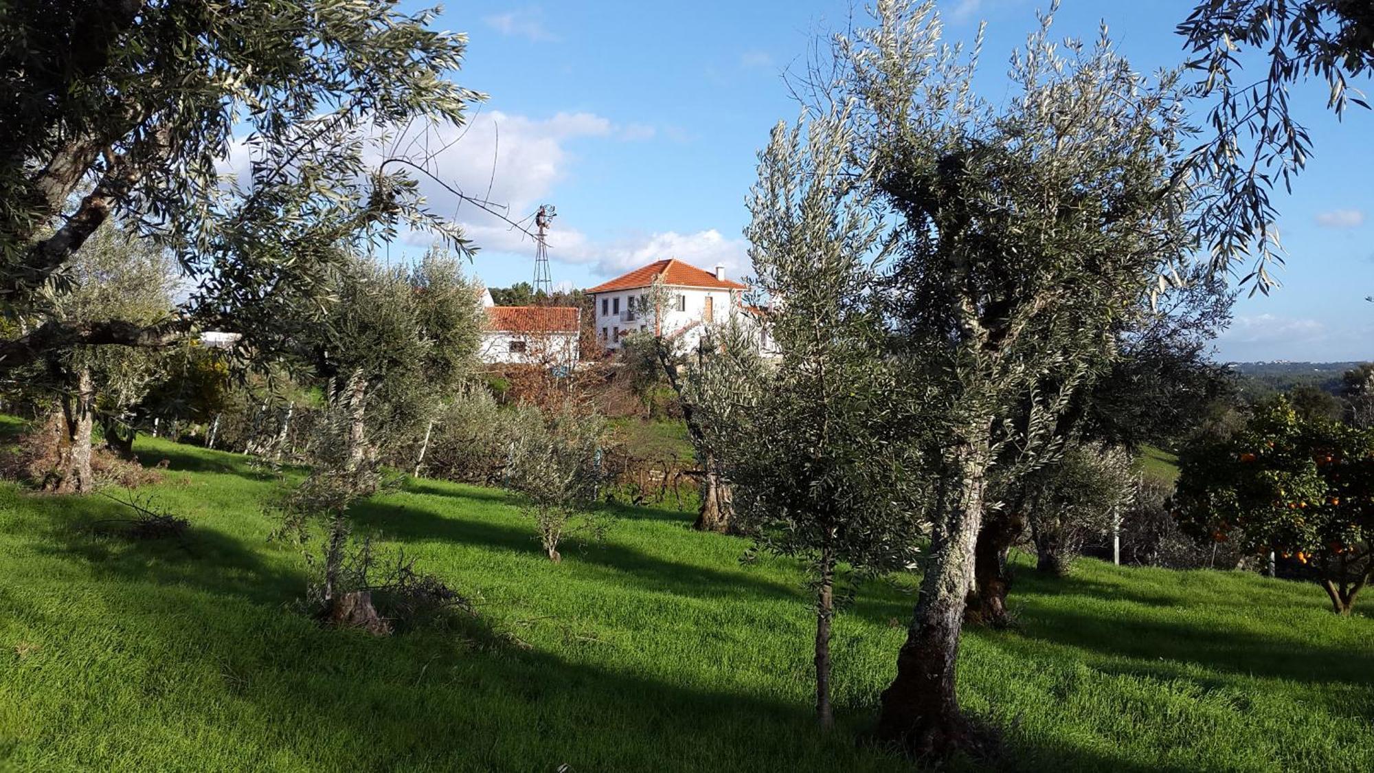 Quinta Quatro Ventos Bed & Breakfast Serta Luaran gambar